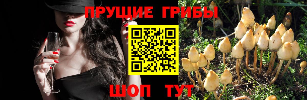Галлюциногенные грибы MAGIC MUSHROOMS  Вход с VPN  Нефтеюганск 